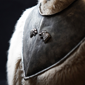 Jon Snow Gorget